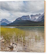 Waterfowl Lakes Wood Print