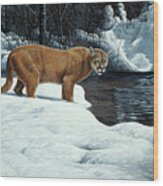 Waters Edge - Cougar Wood Print