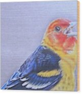 Western Tanager - Male Wood Print