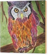 What A Hoot Wood Print