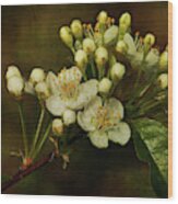 White Blossoms Wood Print