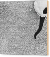White Cat Black Tail Wood Print