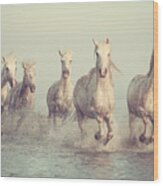 White Horses Run Gallop In Water Wood Print