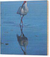 White Ibis Wood Print