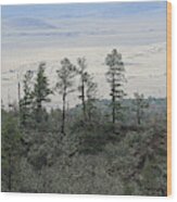 White Mountains Forest Arizona Wood Print