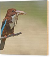 White Throated Kingfisher Wood Print