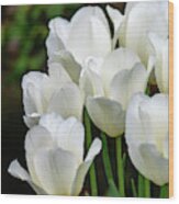 White Tulips Vertical Wood Print