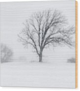 Whiteout - Tree In A Prairie Blizzard Wood Print