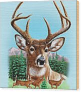 Whitetail Deer Montage Spring Wood Print