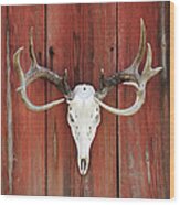 Whitetail Deer Rack On Barnwood Wood Print