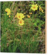 Wild Flowers Wood Print