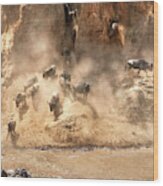 Wildebeest Jump From The Banks Of The Mara Wood Print