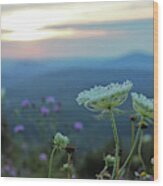 Wildflower Sunset Wood Print