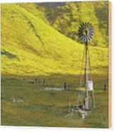Wildflowers And Ranch Land Wood Print