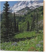 Wildflowers At Mount Rainier Wood Print