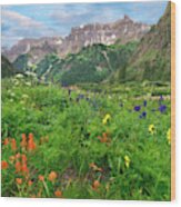 Wildflowers In Yankee Boy Basin, San Juan Mts, Colorado Wood Print