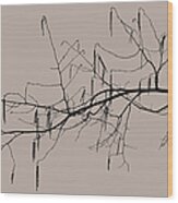 Willow Branch Wood Print