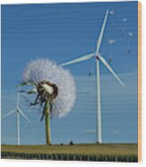 Wind Power Wood Print