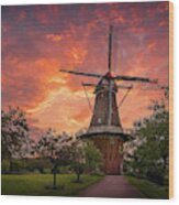 Windmill Sunrise, Holland, Michigan Wood Print