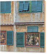 Windows Of  Ponte Vecchio Wood Print