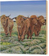 Windswept Highland Cattle Wood Print