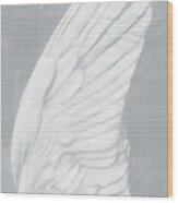 Wings Iii On Gray Wood Print