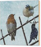 Winter Birds Wood Print