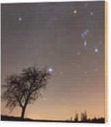Winter Constellations Over Tree Wood Print
