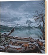Winter Is Coming Bow Lake Wood Print