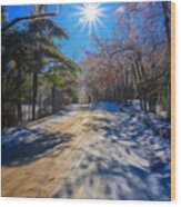 Winter Road Wood Print