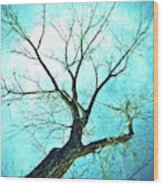 Winter Tree Blue Wood Print