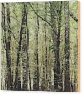 Woodlands In Green Wood Print