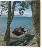 Wrecked Boat Patagonia Wood Print