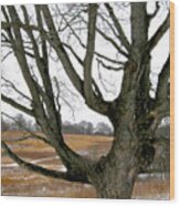 Wyeth Country Wood Print