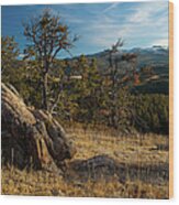 Wyomings Bighorn National Forest Wood Print