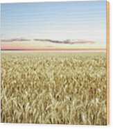 Xxl Wheat Field Twilight Wood Print