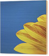 Yellow Flower Wood Print