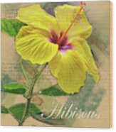 Yellow Hibiscus Graphic Wood Print