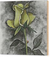 Yellow Rosebud Wood Print