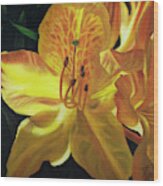Yellow Azalea - Macro Wood Print