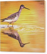 Yellowlegs At Sunset Wood Print