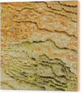 Yellowstone 3 Wood Print