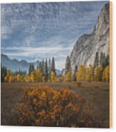 Yosemite Autumn Wood Print