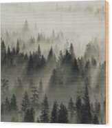 Yosemite Conifers In The Mist Wood Print