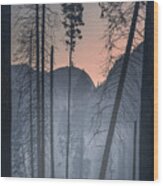 Yosemite Np Wood Print
