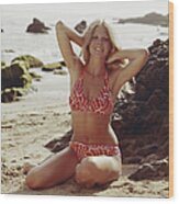 Young Woman In Bikini Sitting On Beach Wood Print