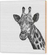 Z9 Giraffe Wood Print