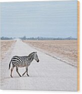 Zebra Crossing Wood Print