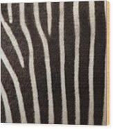 Zebra Wood Print
