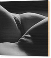 0876 Black White Abstract Art Nude Two Women Wood Print